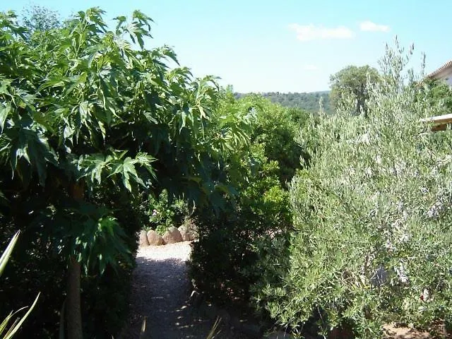 Stella D'oro * Porto-Vecchio (Corsica)